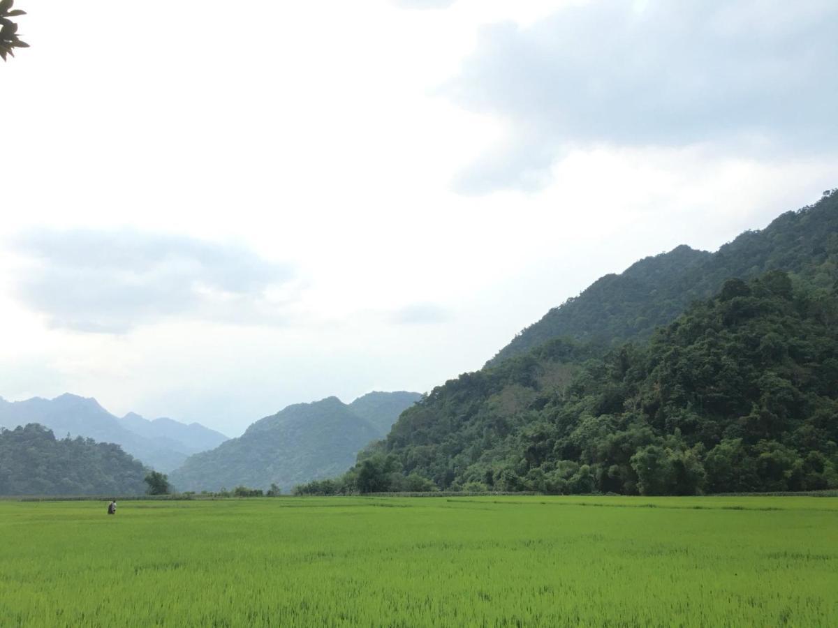 Hoang Quan Homestay Ba Be Zewnętrze zdjęcie